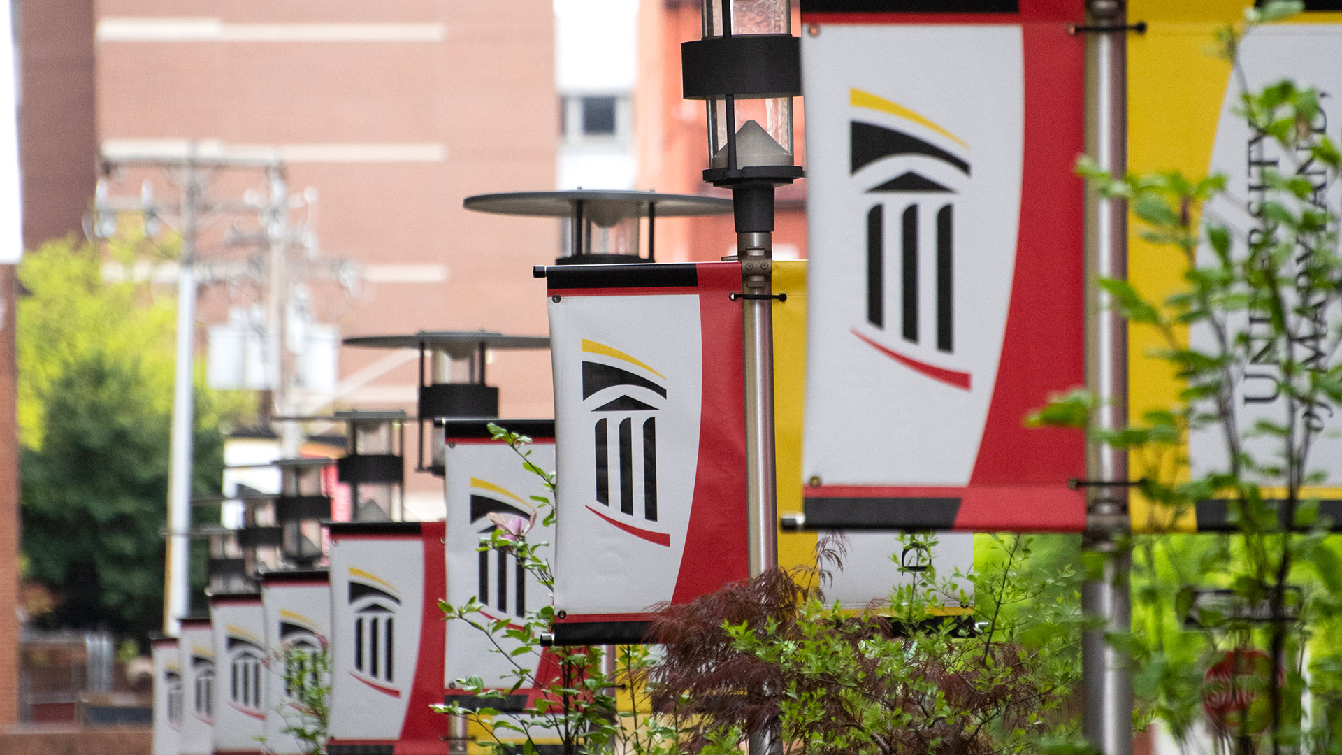 Banners displaying the University of Maryland, Baltimore logo