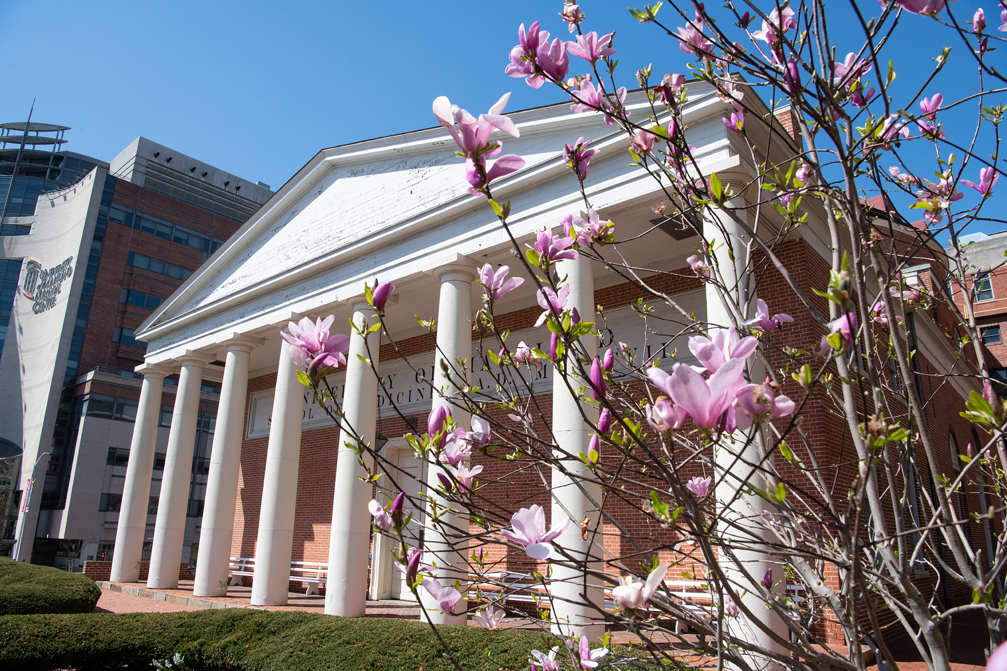 Davidge Hall