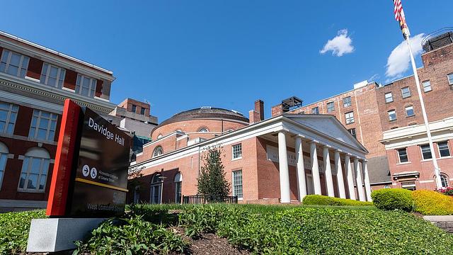 Davidge Lawn