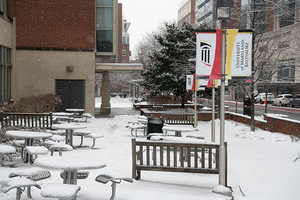 snow on the benches