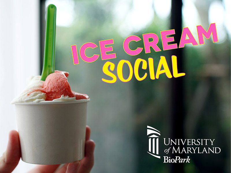 Ice Cream Social