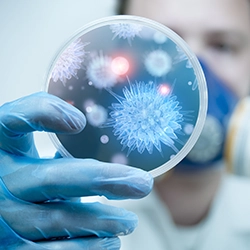 A scientist holding a petri dish with virus and bacteria cells