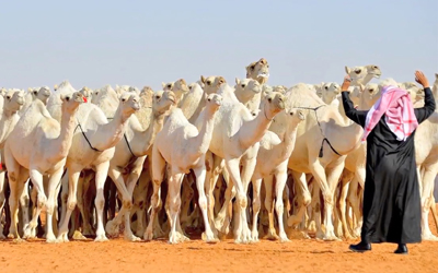 MERS Rabies Vaccine