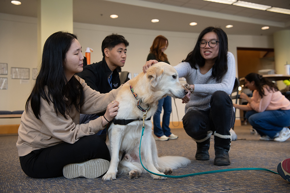 Dogs with students