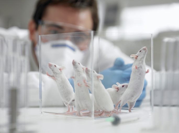 OAWA Animal Research
