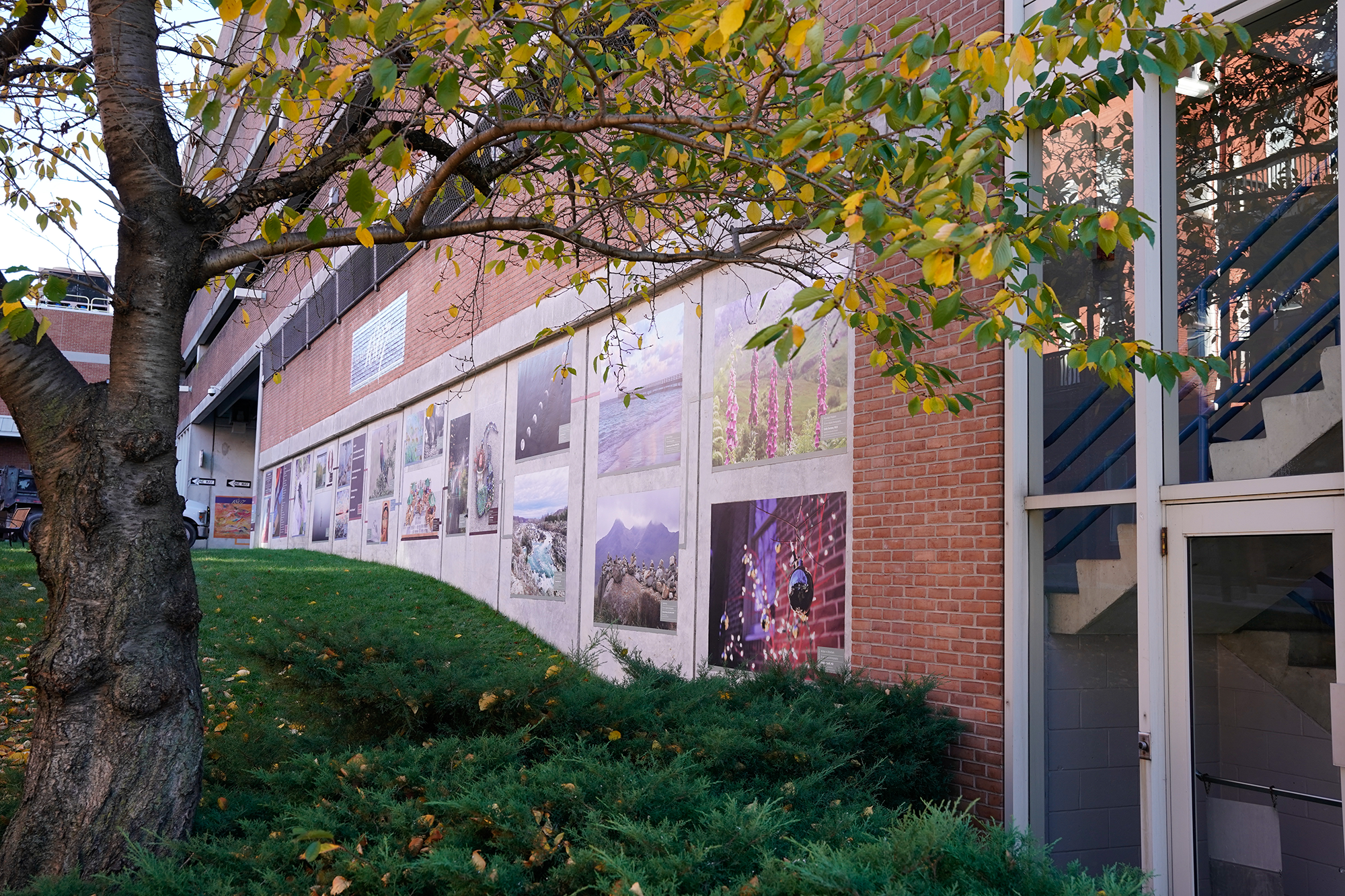 Pearl North Gallery