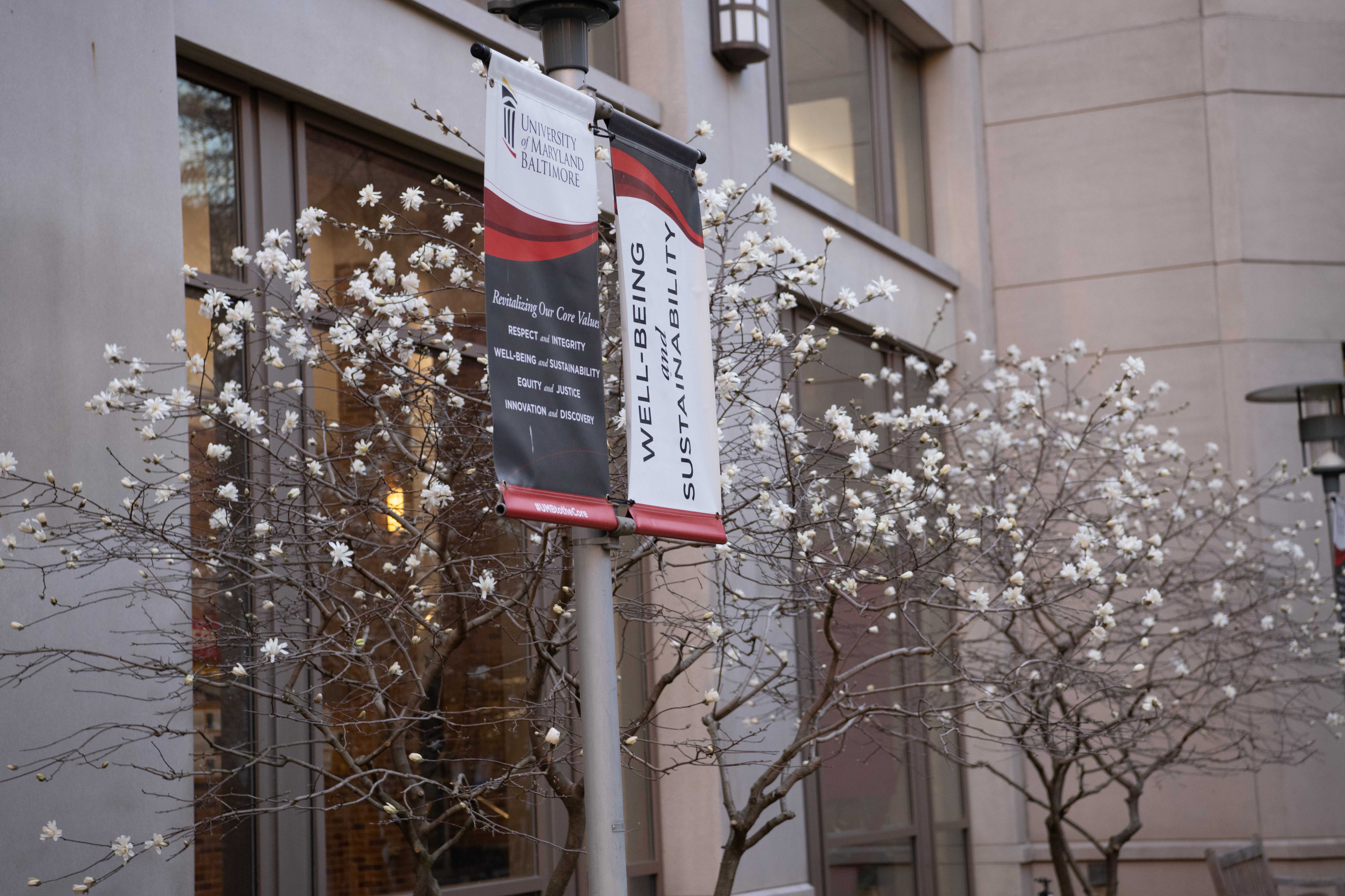 Core Value Banner